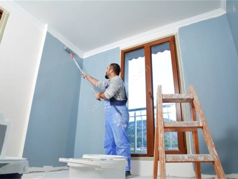 Gökçeada Boya Badanacı